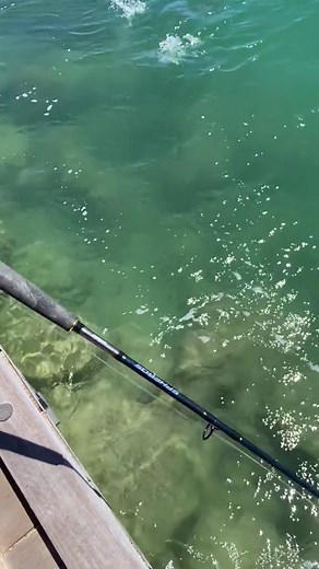Massive Sambo Fishing Adventure in Perth