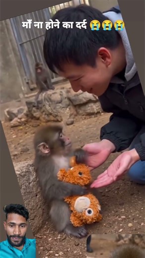 viral bandar #viral_video #youtubeshorts sasd video #bhojpurimusictrendingreels