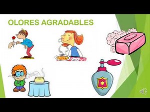 EL OLFATO CIENCIAS