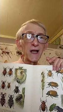 Who is Entomologist? I Can Help You to Solve Problems with Insects! Bug911: Entomology Science.