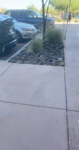 #tesla #modelx #custom #widebody #forgiato #clean #suv #ev #carbonfiber #carbon #fiber #teslamodelx #widebodytesla #widebodykit #electric #electriccar #car #familycar