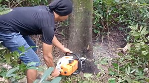 The Best Chainsaw For Hardwoods Power And Precision Tested