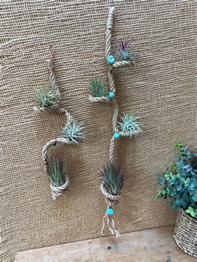 Rope Wire Air Plant Holder Wall Display Boho Style Garden Wall - Etsy