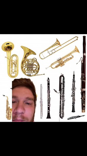 Exploring Musical Instruments for Marching Bands