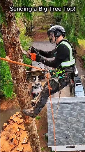 Sending a Big Tree Top!