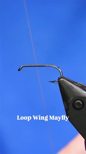 Loop Wing Mayfly🙌🏻 Another day and another pattern ticked off the list. The list keeps growing but the challenge is keeping things fresh and fun at the bench! Thanks for watching🍻 - @ahrexhooks FW570 @semperfli_flytying 8/0 beige Coq de Leon medium pardo Kapok cream dubbing White Antron yarn @whitingfarms Barred medium ginger saddle - - - #flytyingvideo #troutflies #flytying | BCFlyguys - Fly Fishing Kamloops