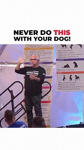 199K views · 3.6K reactions | Never do this with your dog ❗️ | Cesar Millan | Facebook