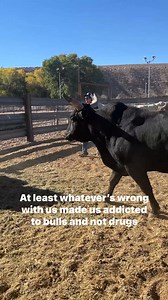 5F Bucking Bulls on Reels
