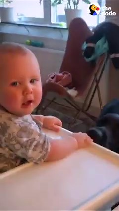 Little kid and his dog do "sit," "lay down" and snack time together every day ❤️ | The Dodo