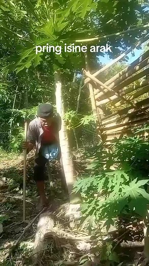 Traditional Indonesian Drink Recipe | Pring Isine Arak