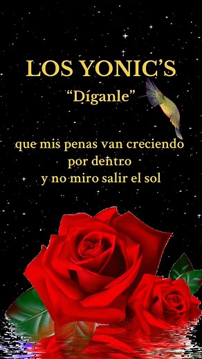 LOS YONICS - DIGANLE #videosmusicalesvirales #musicaenvideo #viralenespanol #tendenciasmusicales #bailesvirales #virals #viralvideo | Buena musica