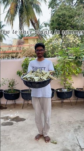 How to save plants in summer 🌿.