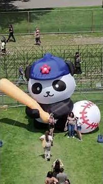 Panda Fest Boston 2026 | Official Short Recap