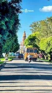 Altos Focus on Reels