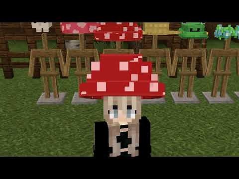 Moon's Accessories - Minecraft Bedrock Cottage Core Pack!