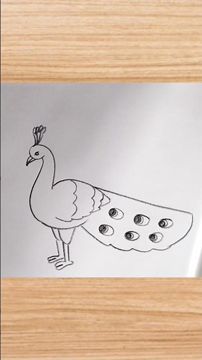 how to draw peacock drawing easy step by step