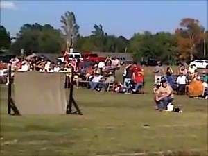 Video: Watch This Mule Jump 4’7″ From a Standstill