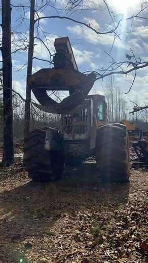 She’s a biggun! #logging #logger #tigercat #fyp #fypシ | cat