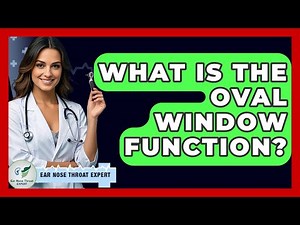 What Is The Oval Window Function? - Ear Nose Throat Expert