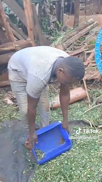 Becoming a Dedicated Dairy Farmer with Goats