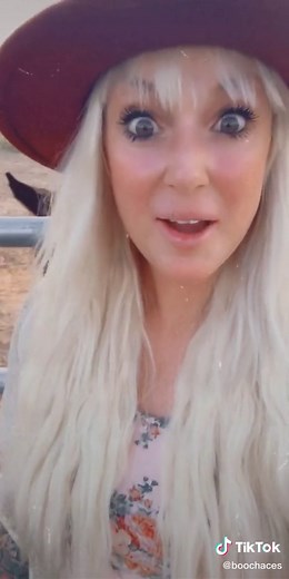 Rhiannon: Goddess of Horses in Welsh Mythology