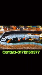 Koi pond With Fountain | Fountain Gallery