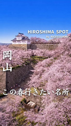 春の絶景桜スポット5選