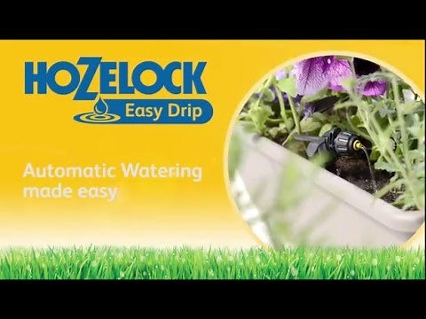 Hozelock Easy Drip | Automatic Watering