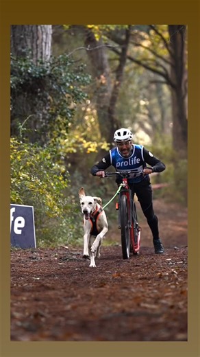 Sport cinofili: Canicross - Bikejoring - scooterjoring on Instagram: "Se non sai a chi rivolgerti per iniziare a fare CANICROSS, BIKEJORING, SCOOTERJORING puoi aiutarti visualizzando la mappa Google, link in bio, che abbiamo creato per voi. Se invece se un tecnico/atleta praticante e vuoi essere aggiunto alla mappa contattaci in pvt. #canicross #neverunalone #siamoquellochepromettiamo"