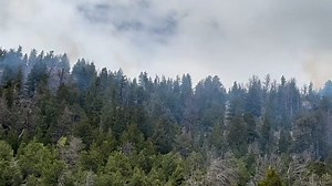 Evanston/Mt. View Ranger Districts Uinta-Wasatch-Cache National Forest fire personnel used aerial and hand ignitions today to start laying black line around the perimeter of the Burnt Beaver Restoration Project area. The Burnt Beaver Restoration Project is located in the eastern corner of Summit County approximately thirty miles southeast of Mountain View, Wyoming east of Hoop Lake. The prescribed fire will target conifer encroached aspens stands and beetle-killed lodgepole pine trees. The prima