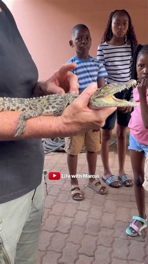Small but Dangerous 🐊 | Baby Crocodile Explained