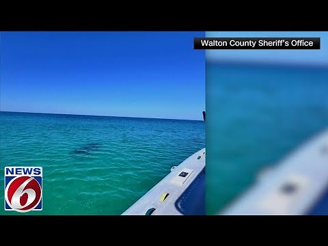 Woman loses arm, 2 teens injured in separate shark attacks on popular Florida beach