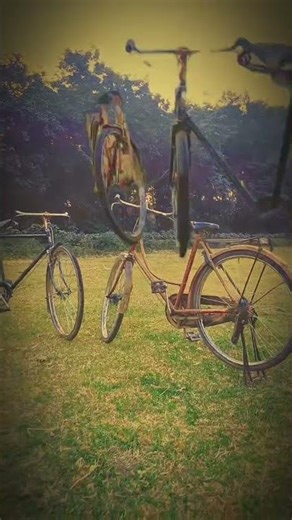 Dase cycle editing#explore