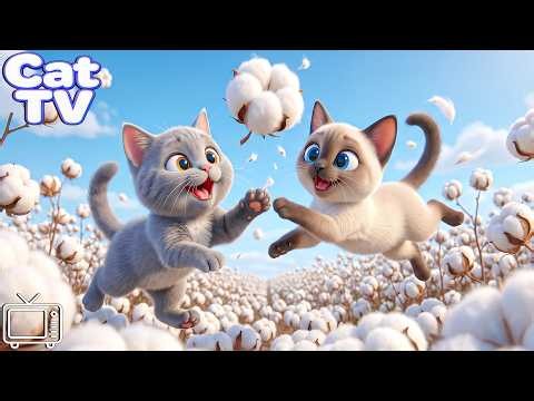 Cat Cartoons for Cats: Entertainment Videos for Cats! Relaxing Music for Cats to Relieve Boredom