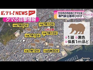 廿日市市の市街地でクマの目撃情報が相次ぐ 警察や市が警戒 発見には至らず 広島