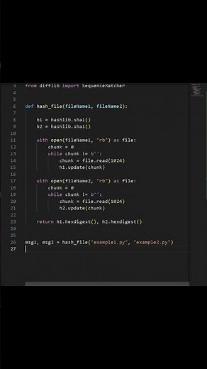“I let Python decide if two files are the same”