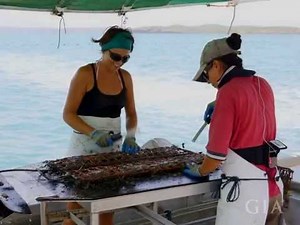 South Sea Pearls by GIA