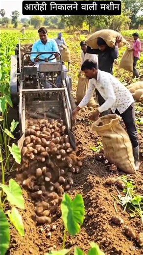 Ascending Extractor#shorts#short#trending#viral#aivideo#ytshorts