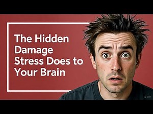 Your Brain on Stress: A Mind-Bending 3D Journey