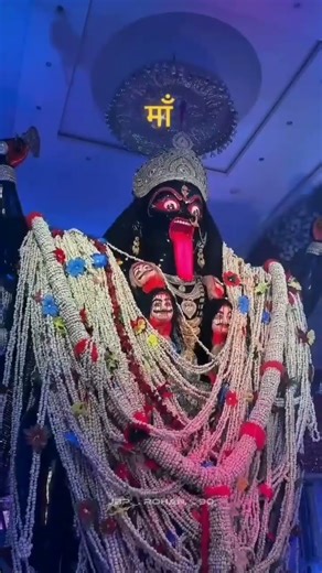 Code - Camera.https://www.blackmagicdesign.com/in/products/blackmagiccamera