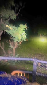 685K views · 6.3K reactions | Solid boar chuck and yella pulled up. | Bivouac Boyz | Facebook