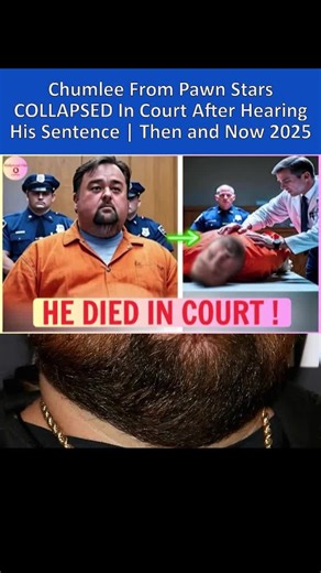 Chumlee's Shocking Court Collapse: A Look Back and Ahead