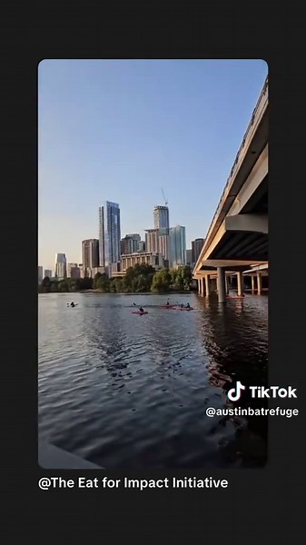 So much fun hanging with Planted Society during our Bat Walk & Talk last night! Love y’all! . . #austinbats #congressbridgebats