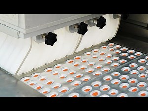 High-efficiency Blister Feeder For Various Shapes of Tablets