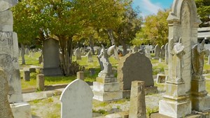 Querido Dross: EL CEMENTERIO DE ANIMALES #DrossRotzank #new #vlog #video | DrossRotzank Show