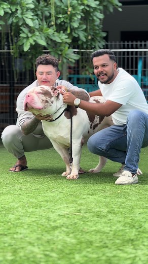 Mr Pets World on TikTok