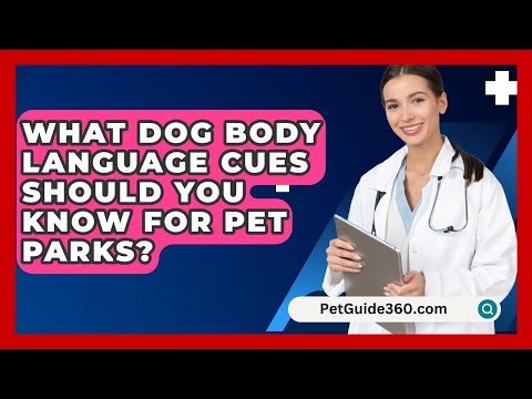 What Dog Body Language Cues Should You Know For Pet Parks? - PetGuide360.com