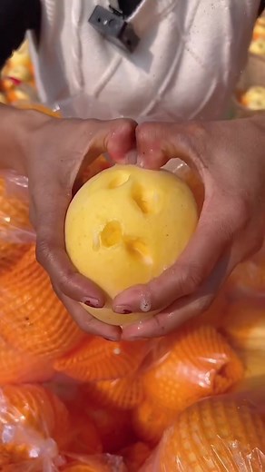 Peach Picking in an Orchard: A Day’s Harvest Adventure