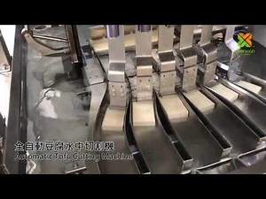 EVERSOON Tofu Production Line | Cutting Machine | Automatic Water Cutting Tofu Equipment