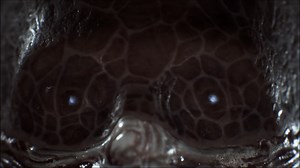 Ultra-bizarre HR Giger-esque FPS Scorn releases 2021 on Xbox Series X